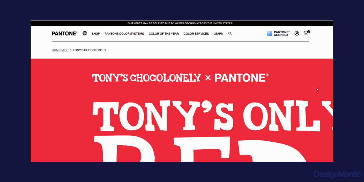 Pantones collaboration